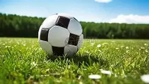 亚足联主席会宋凯，承诺支持中国足协足球振兴——据北京青年报披露